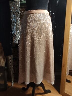 Anthropologie Champagne Sequin Maxi Skirt Size 8